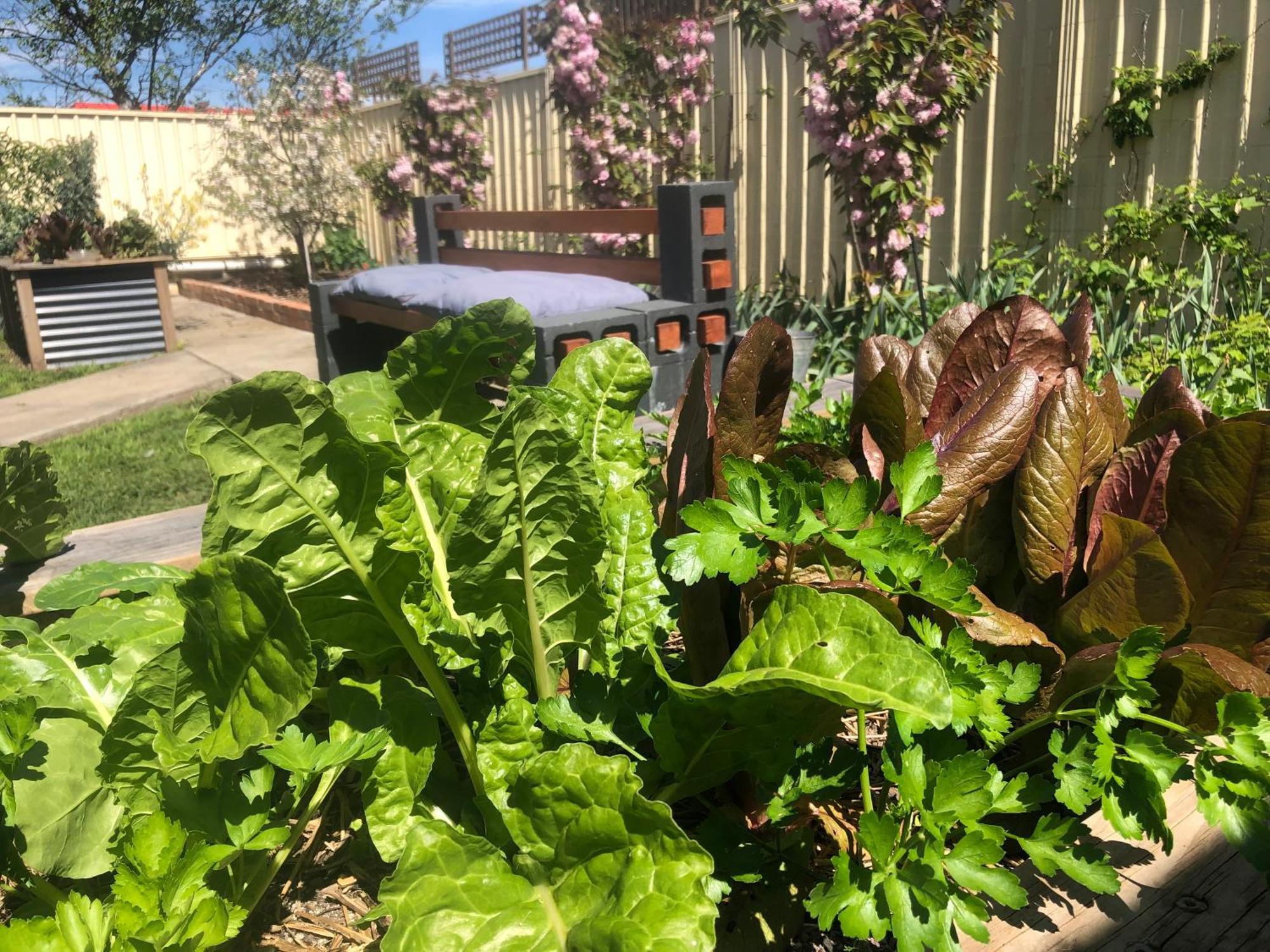 Lovely Budget Vegan Homestay Launceston Dış mekan fotoğraf