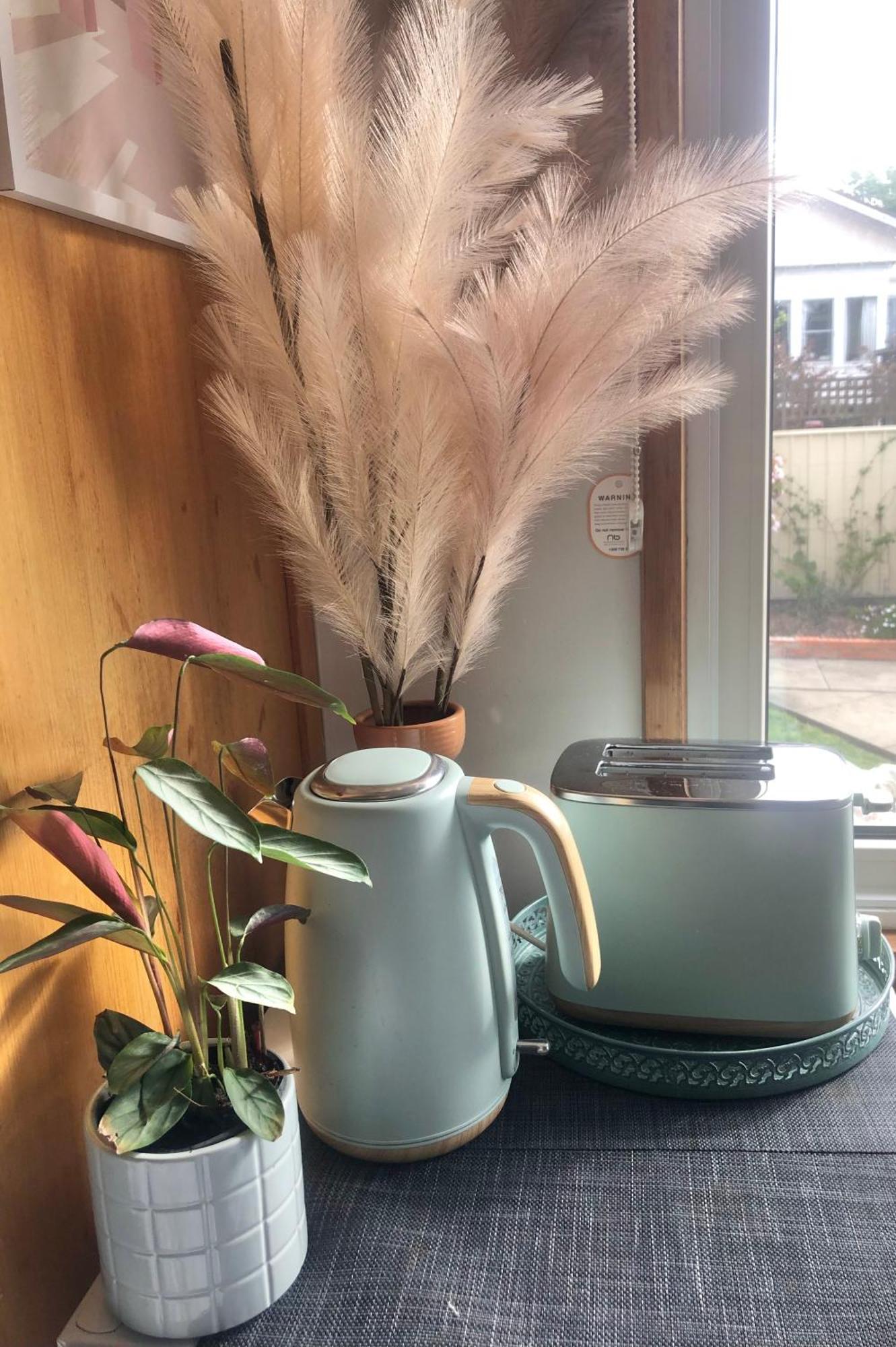Lovely Budget Vegan Homestay Launceston Dış mekan fotoğraf